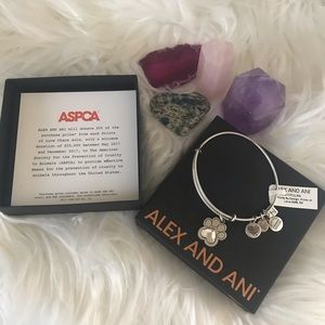 Alex and Ani Women’s Bangle